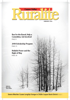 January Cover Photo