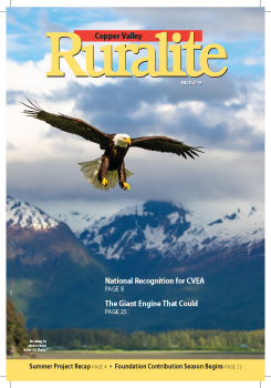 July Cover Photo