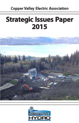 Strategic Issues Paper 2015