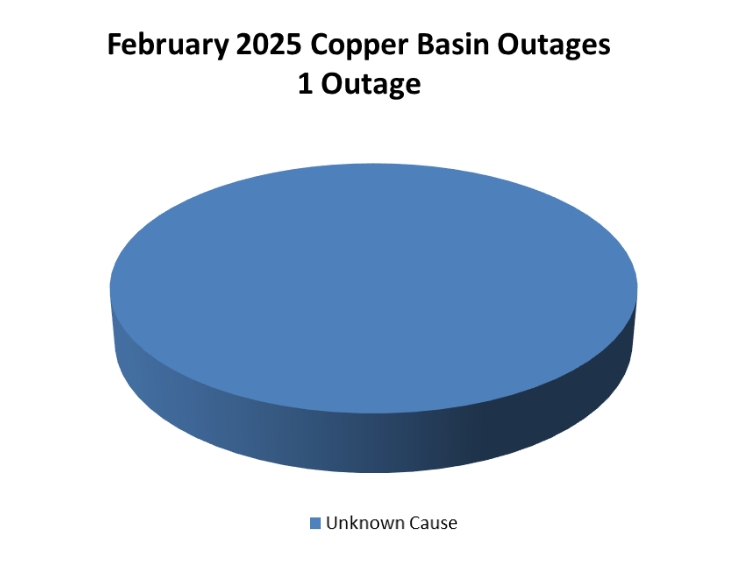 February Outage Summary
