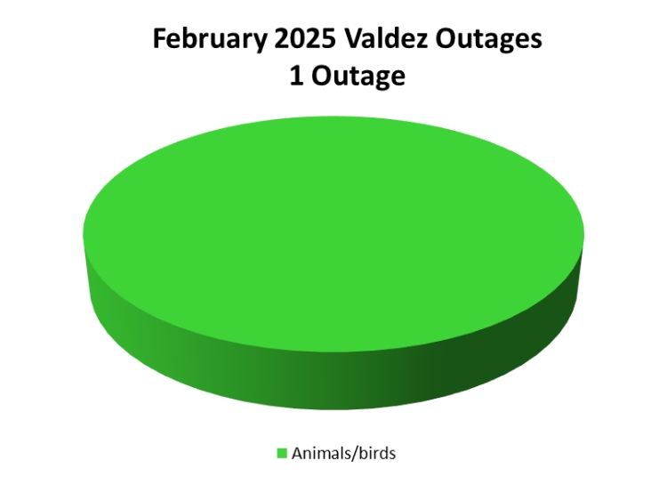 February Outage Summary