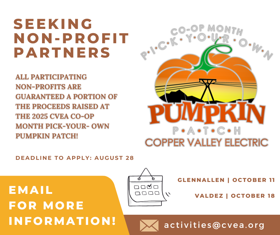 2025 Pumpkin Patch - Non Profits 