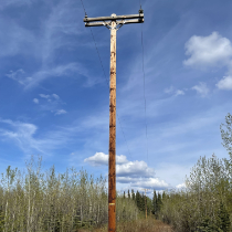 Pole without Transformer