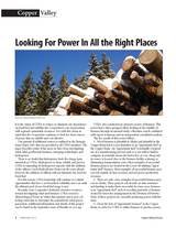 Ruralite Article on Biomass - February 2012