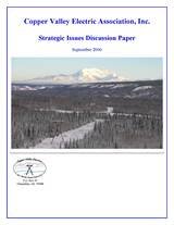 Strategic Issues Paper 2006