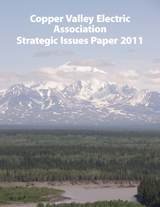Strategic Issues Paper 2011