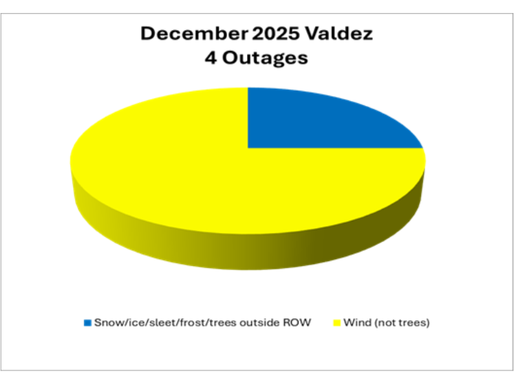 December Outage Summary