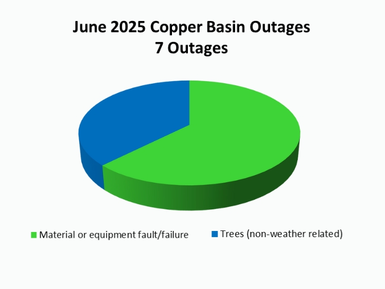 June Outage Summary
