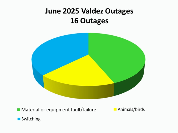 June Outage Summary