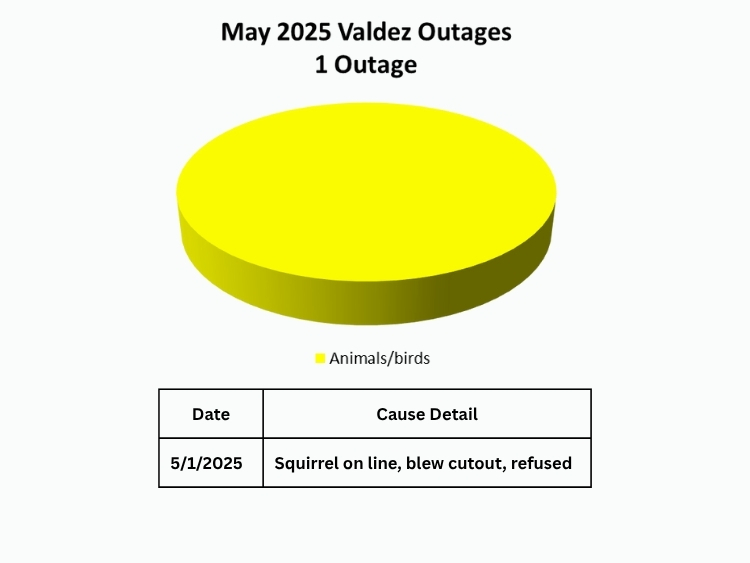May Outage Summary