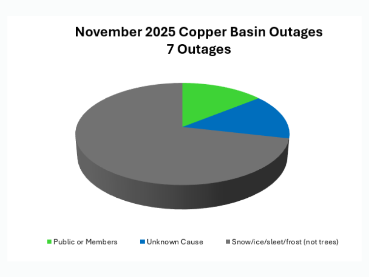 November Outage Summary November Outage Summary