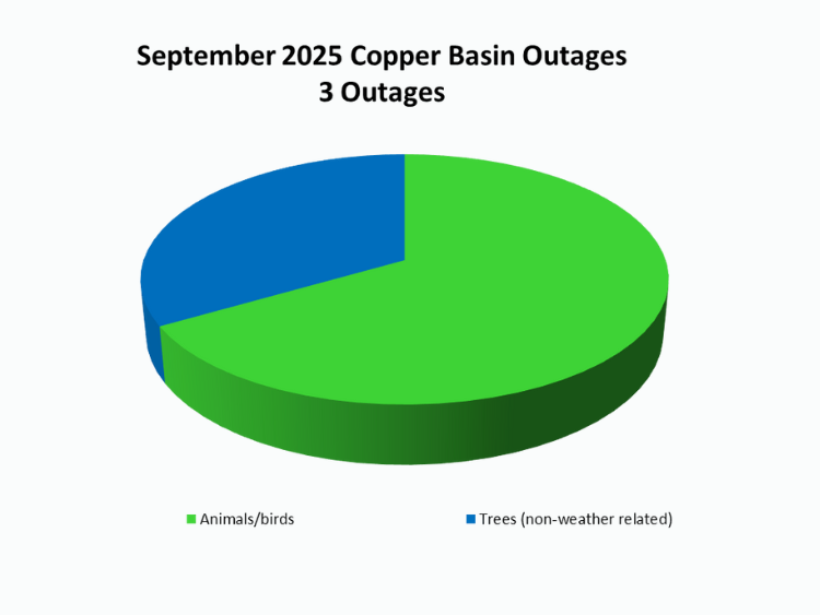 September Outage Summary
